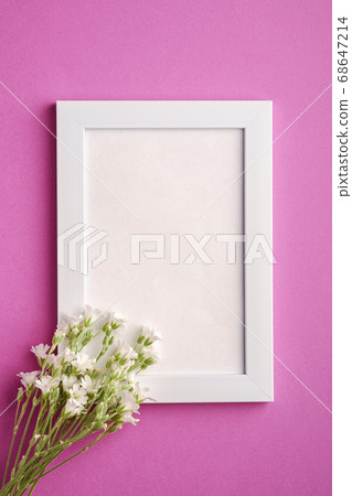 White empty photo frame mockup with mouse-ear chickweed flowers on pink purple background White empty photo frame mockup with mouse-ear chickweed flowers on pink purple background 68647214