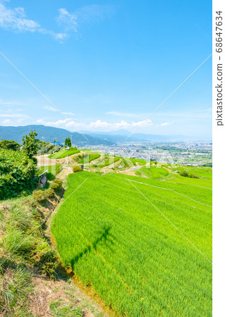 Terraced rice terraces and Zenkojidaira (summer) 68647634