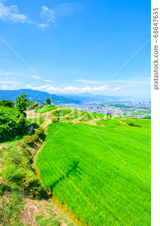 Terraced rice terraces and Zenkojidaira (summer) Terraced rice terraces and Zenkojidaira (summer) 68647635