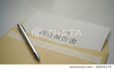 Preparation of survey report 68648379