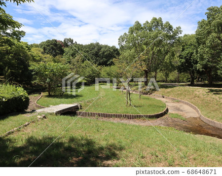 神戶市西區,西新中央公園公園,樹木等 神戶市西區,西新中央公園公園,樹木等 68648671
