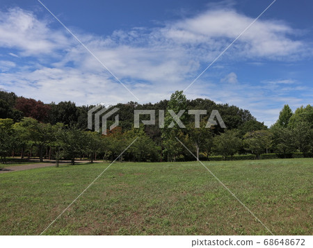 神戶市西區,西新中央公園公園,樹木等 神戶市西區,西新中央公園公園,樹木等 68648672