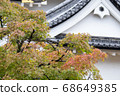 Autumn leaves 68649385