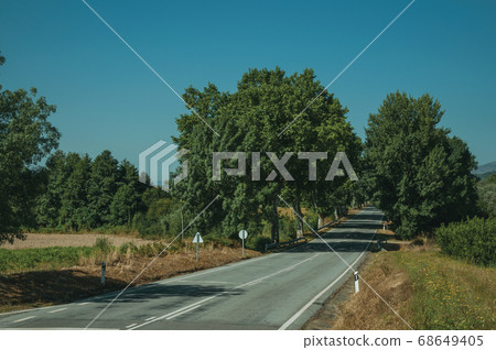 Road passing through rural landscape Road passing through rural landscape 68649405