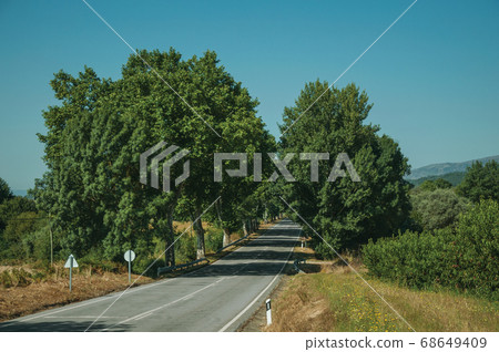 Road passing through rural landscape Road passing through rural landscape 68649409
