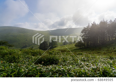 朝霧谷熊山高原 朝霧谷熊山高原 68649505