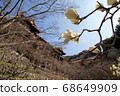 Kiyomizu Temple and flowers 68649909