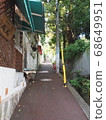 Summer path 68649951