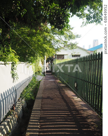 夏天的路徑 68649952