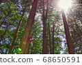 Sunbeams 68650591