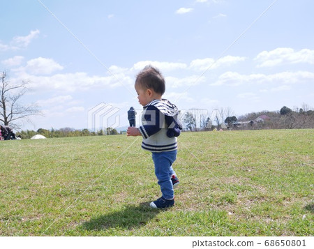 Toddler walking on the lawn Toddler walking on the lawn 68650801