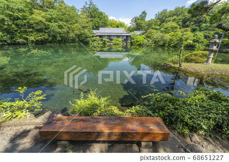 Rakujuen Obama Pond, a rare and full water [Mishima City, Shizuoka Prefecture] 68651227