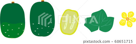 Winter melon set 68651715