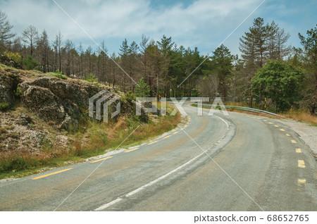 Road passing through burnt forest on rocky landscape Road passing through burnt forest on rocky landscape 68652765