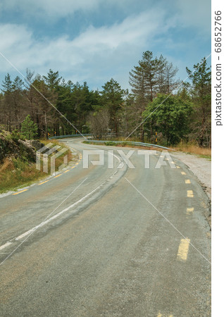 Road passing through burnt forest on rocky landscape Road passing through burnt forest on rocky landscape 68652766