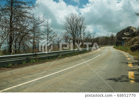 Road passing through burnt forest on rocky landscape Road passing through burnt forest on rocky landscape 68652770