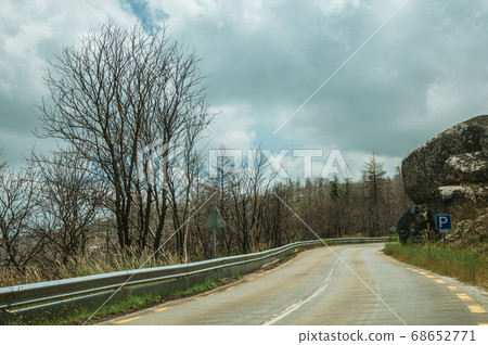 Road passing through burnt forest on rocky landscape Road passing through burnt forest on rocky landscape 68652771