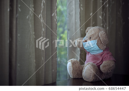 window bear 68654447