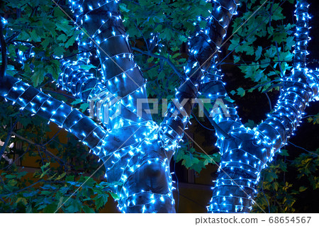 close view of tree illumination garland at night, 68654567