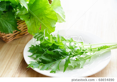 在盤子上新鮮採摘的蔬菜美津濃 在盤子上新鮮採摘的蔬菜美津濃 68654890