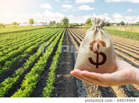 Hand holds out a dollar money bag on a background of a carrot plantation. Support and subsidies. Farm loans. Lending farmers for purchase land and seed material, modernization. Revival of the village. Hand holds out a dollar money bag on a background of a carrot plantation. Support and subsidies. Farm loans. Lending farmers for purchase land and seed material, modernization. Revival of the village. 68654904