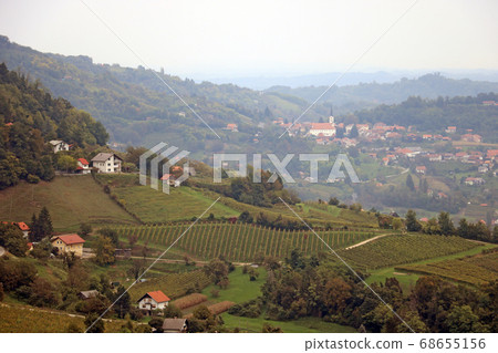 Top view of the vineyard valleys and the 68655156