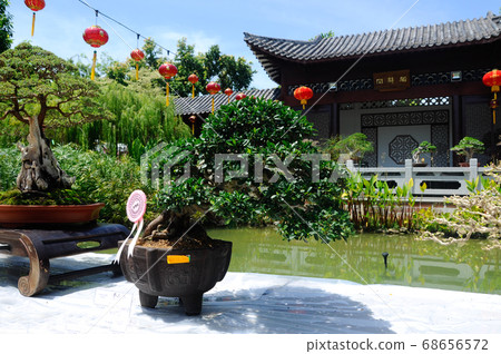 PUTRAJAYA, MALAYSIA -MAY 30, 2016: Bonsai tree display for public in Royal Floria Putrajaya garden in Putrajaya, Malaysia. PUTRAJAYA, MALAYSIA -MAY 30, 2016: Bonsai tree display for public in Royal Floria Putrajaya garden in Putrajaya, Malaysia. 68656572