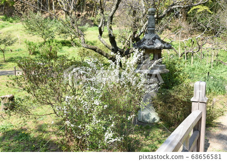 三溪 三溪 68656581