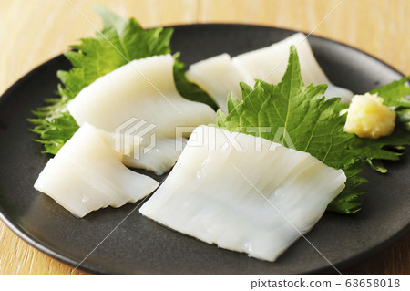 Squid Squid 68658018