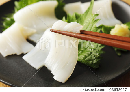 Squid Squid 68658027