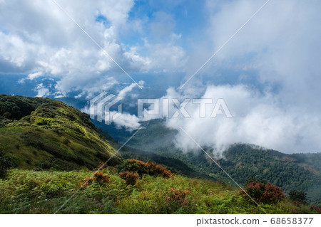 Mountain view in chaingmai Thailand Mountain view in chaingmai Thailand 68658377