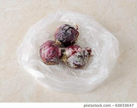 White green fungal mold on three raw red purple onions in a plastic bag over a kitchen table.  68658647