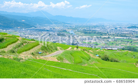 Terraced rice terraces and Zenkojidaira (summer) 68658904