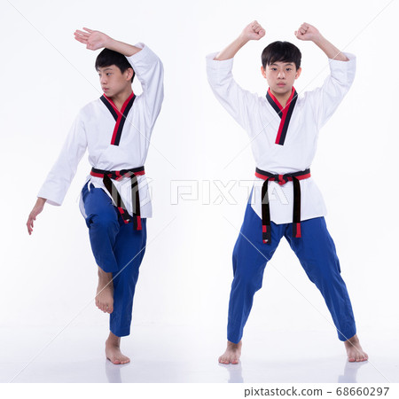 TaeKwonDo Karate national athlete kick punch on 68660297