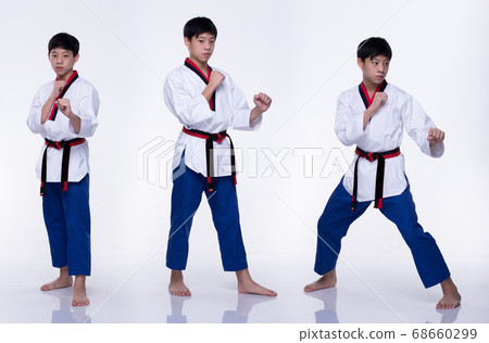 TaeKwonDo Karate national athlete kick punch on 68660299