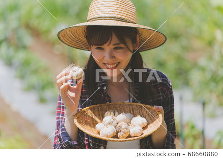 大蒜 蒜 女生 68660880