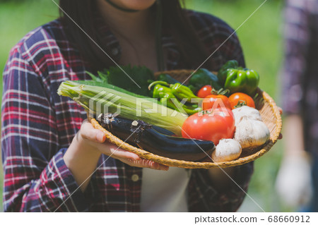 female, lady, woman 68660912