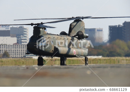 Chinook gliding on the ground 68661129