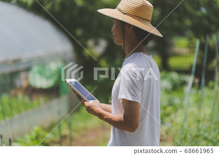 digital tablet, tablet, tablets 68661965