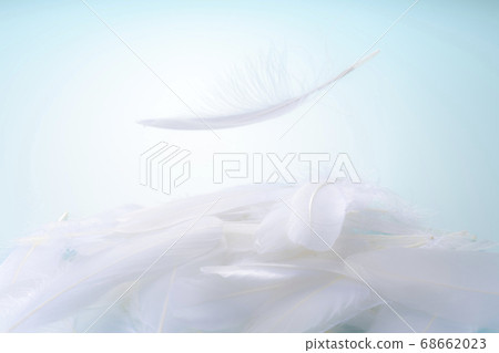 A feather that dances lightly 68662023