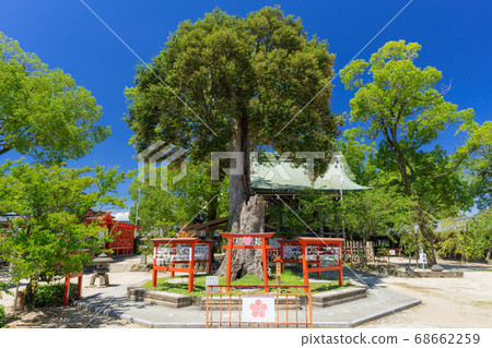 Koiki Shrine, Mizuta Tenmangu, Chikugo City, Fukuoka Prefecture Koiki Shrine, Mizuta Tenmangu, Chikugo City, Fukuoka Prefecture 68662259