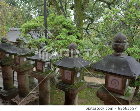 Approach_Kasuga Taisha Approach_Kasuga Taisha 68663557