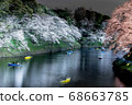 在夜間點亮櫻花 68663785