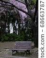 櫻花和長凳 68663787