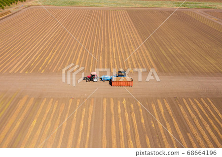 Almond picker harvester discharging, Aerial view. Almond picker harvester discharging, Aerial view. 68664196