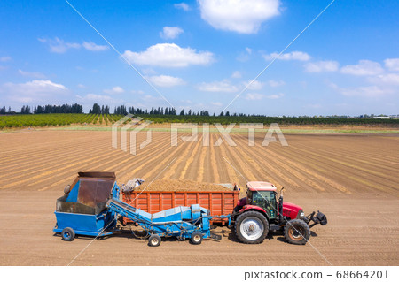 Almond picker harvester discharging, Aerial view. 68664201