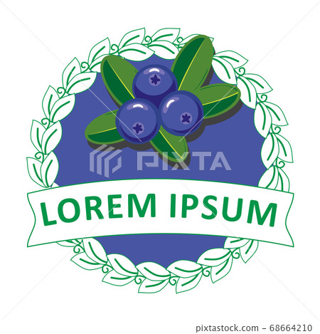 Cartoon of Blueberry Fruit logo designs vector, Illustration of Blueberry template 68664210