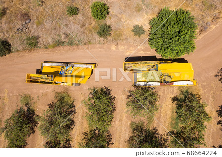 Almond tree harvest using a Mechanical arm to shake ripe Almonds off the tree. Almond tree harvest using a Mechanical arm to shake ripe Almonds off the tree. 68664224