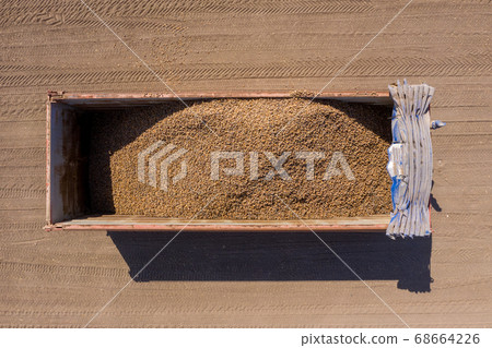 Fresh picked Almonds loaded in a parked tailer Fresh picked Almonds loaded in a parked tailer 68664226
