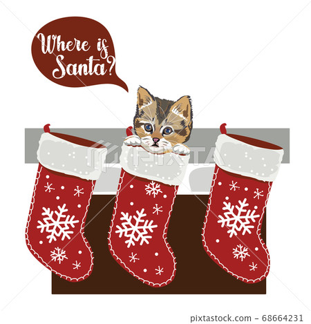 Vector drawing of a kitten in a Christmas sock. Isolated objects Vector drawing of a kitten in a Christmas sock. Isolated objects 68664231